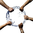 wp571d8e19_0f.jpg