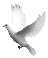 wp5a6c3918.png