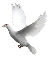 wpb479e795.png