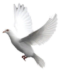 wpfbaa7fb0.png